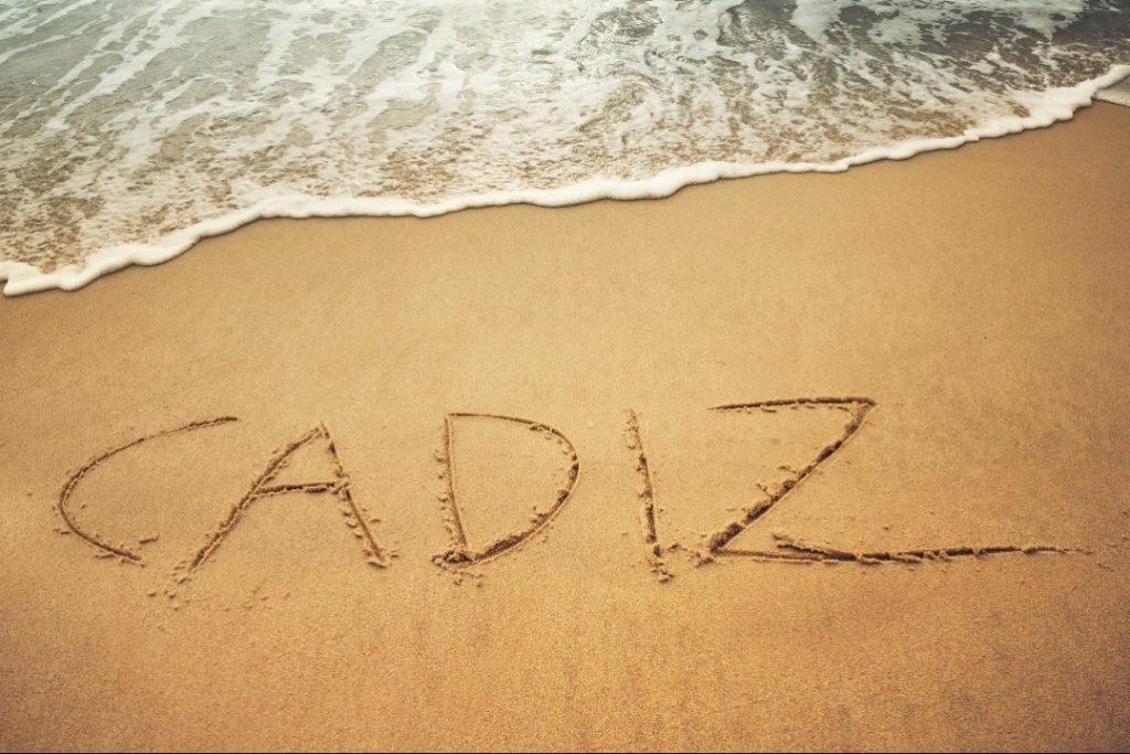 Yellow Brown Minimalist Top 10 Friendly Dog Youtube Thumbnail (13)